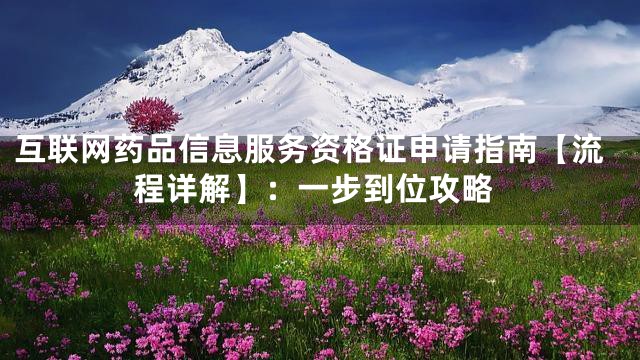 互联网药品信息服务资格证申请指南【流程详解】：一步到位攻略
