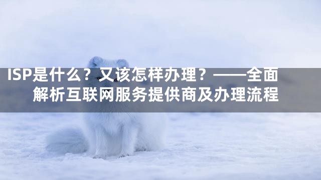 ISP是什么？又该怎样办理？——全面解析互联网服务提供商及办理流程