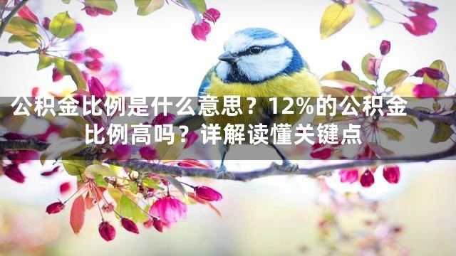 公积金比例是什么意思？12%的公积金比例高吗？详解读懂关键点