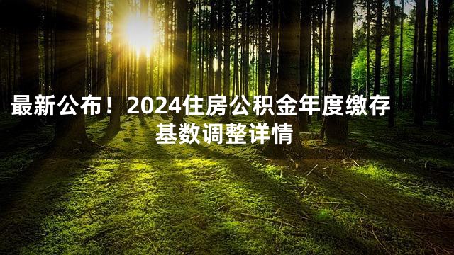 最新公布！2024住房公积金年度缴存基数调整详情