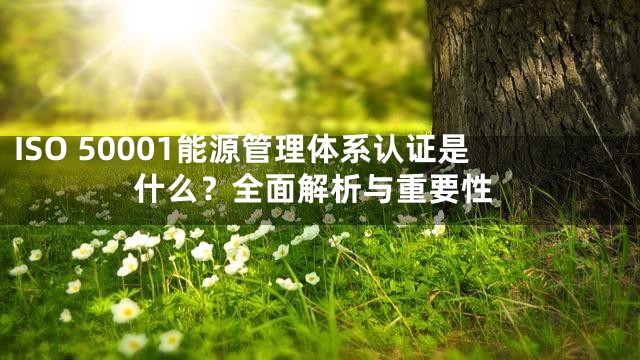 ISO 50001能源管理体系认证是什么？全面解析与重要性