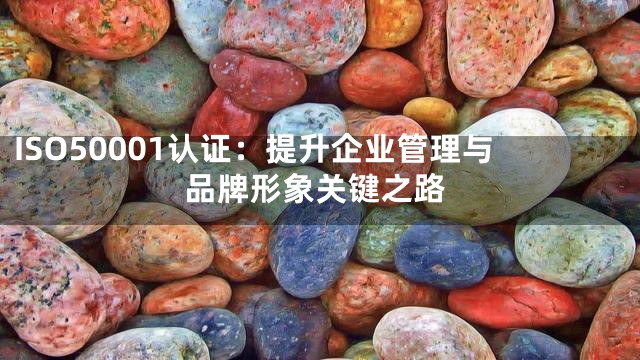 ISO50001认证：提升企业管理与品牌形象关键之路