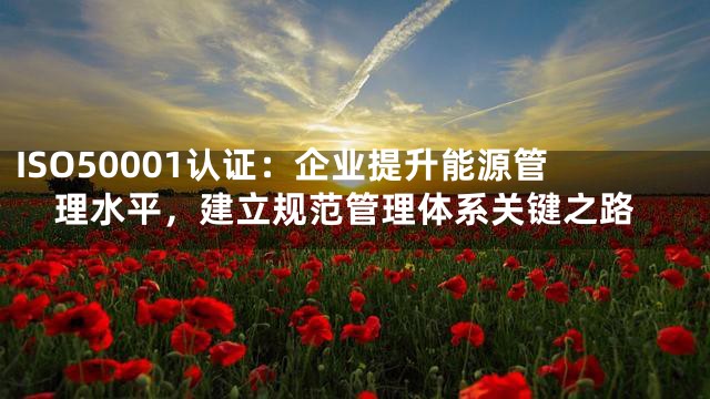 ISO50001认证：企业提升能源管理水平，建立规范管理体系关键之路