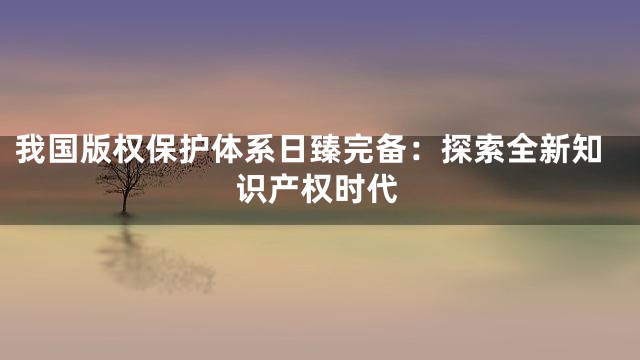 我国版权保护体系日臻完备：探索全新知识产权时代