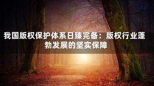 我国版权保护体系日臻完备：版权行业蓬勃发展的坚实保障