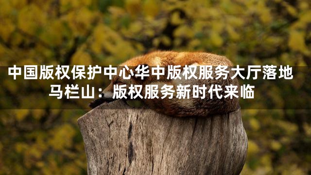 中国版权保护中心华中版权服务大厅落地马栏山：版权服务新时代来临