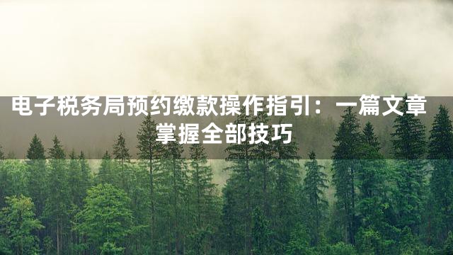 电子税务局预约缴款操作指引：一篇文章掌握全部技巧
