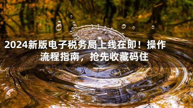 2024新版电子税务局上线在即！操作流程指南，抢先收藏码住