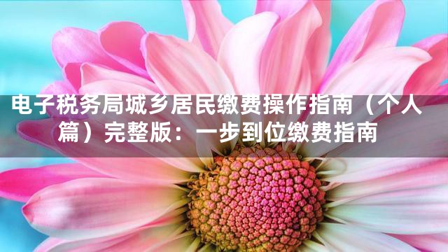 电子税务局城乡居民缴费操作指南（个人篇）完整版：一步到位缴费指南