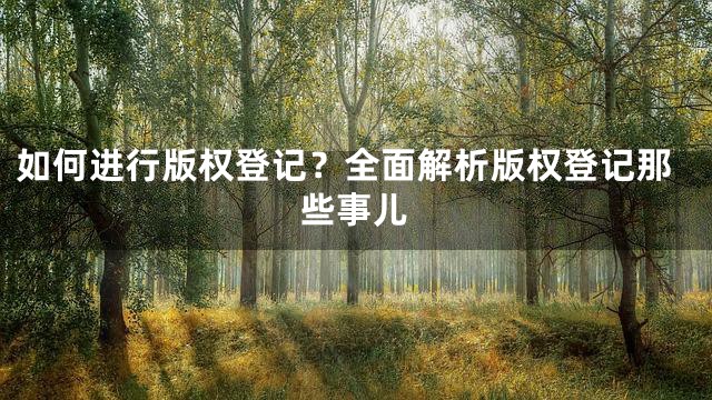 如何进行版权登记？全面解析版权登记那些事儿