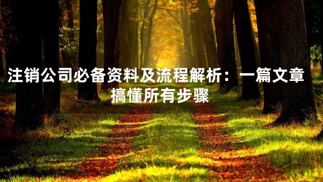 注销公司必备资料及流程解析：一篇文章搞懂所有步骤
