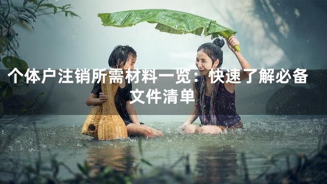 个体户注销所需材料一览：快速了解必备文件清单