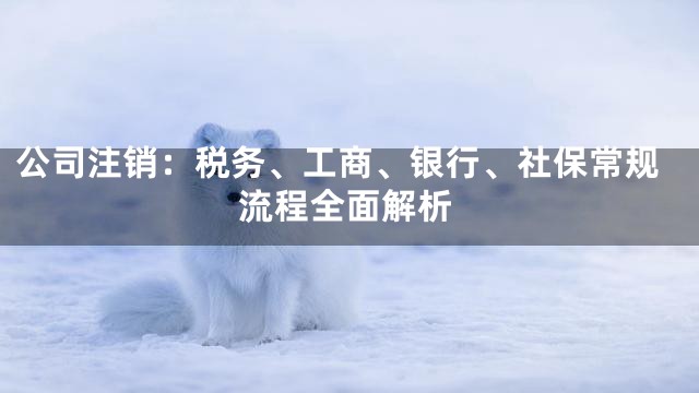 公司注销：税务、工商、银行、社保常规流程全面解析