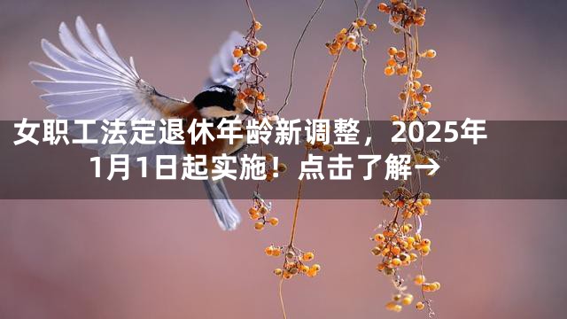 女职工法定退休年龄新调整，2025年1月1日起实施！点击了解→