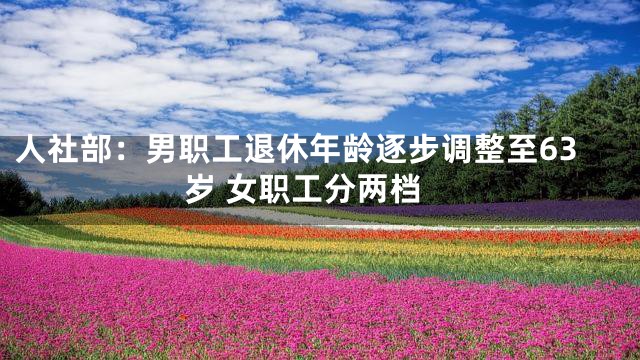 人社部：男职工退休年龄逐步调整至63岁 女职工分两档