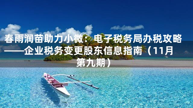春雨润苗助力小微：电子税务局办税攻略——企业税务变更股东信息指南（11月第九期）