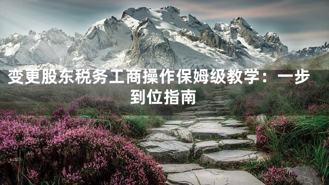 变更股东税务工商操作保姆级教学：一步到位指南