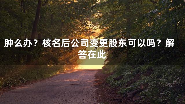 肿么办？核名后公司变更股东可以吗？解答在此