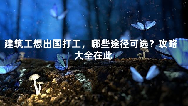 建筑工想出国打工，哪些途径可选？攻略大全在此