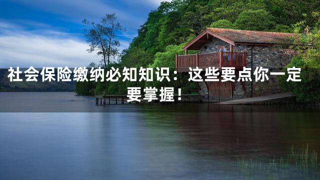 社会保险缴纳必知知识：这些要点你一定要掌握！