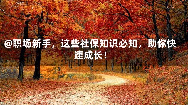 @职场新手，这些社保知识必知，助你快速成长！