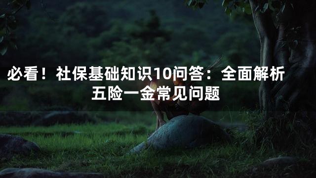 必看！社保基础知识10问答：全面解析五险一金常见问题