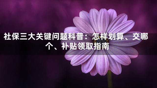 社保三大关键问题科普：怎样划算、交哪个、补贴领取指南