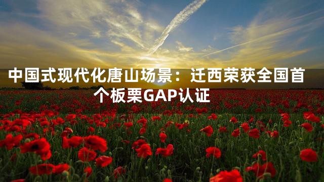 中国式现代化唐山场景：迁西荣获全国首个板栗GAP认证