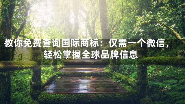 教你免费查询国际商标：仅需一个微信，轻松掌握全球品牌信息