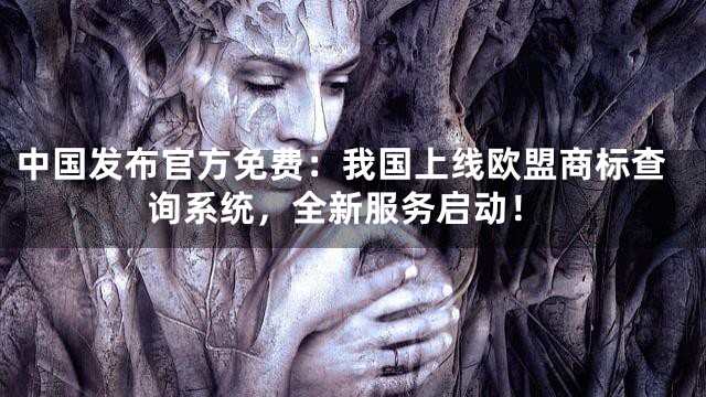 中国发布官方免费：我国上线欧盟商标查询系统，全新服务启动！