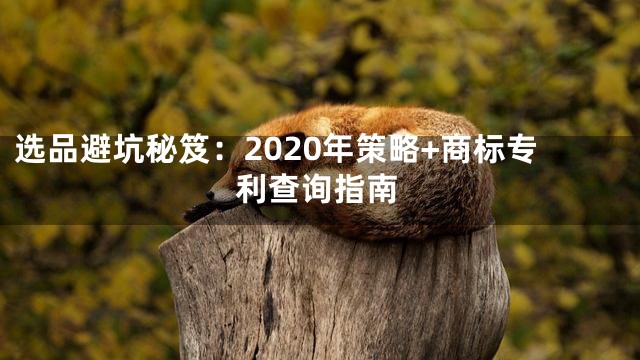 选品避坑秘笈：2020年策略+商标专利查询指南
