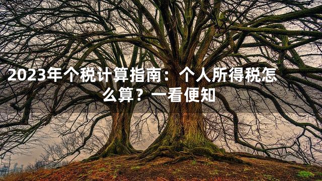 2023年个税计算指南：个人所得税怎么算？一看便知