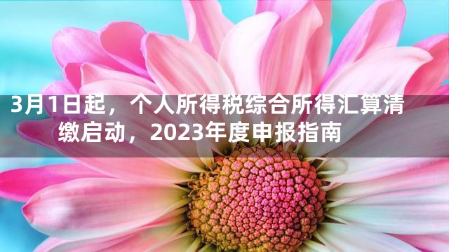 3月1日起，个人所得税综合所得汇算清缴启动，2023年度申报指南