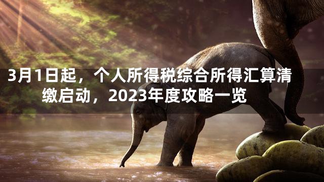 3月1日起，个人所得税综合所得汇算清缴启动，2023年度攻略一览