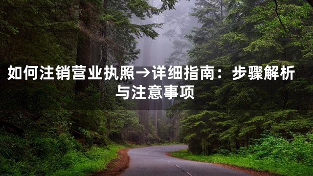 如何注销营业执照→详细指南：步骤解析与注意事项