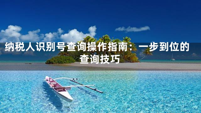 纳税人识别号查询操作指南：一步到位的查询技巧