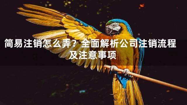 简易注销怎么弄？全面解析公司注销流程及注意事项