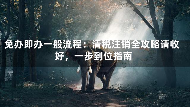 免办即办一般流程：清税注销全攻略请收好，一步到位指南