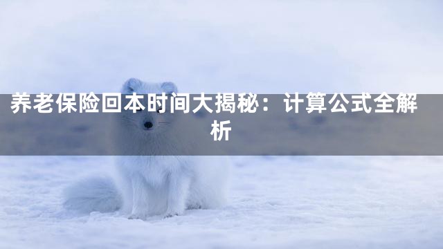 养老保险回本时间大揭秘：计算公式全解析