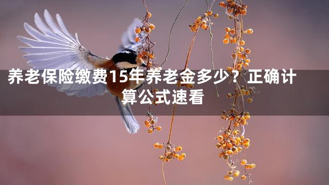养老保险缴费15年养老金多少？正确计算公式速看