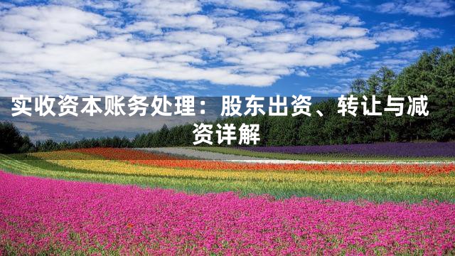 实收资本账务处理：股东出资、转让与减资详解