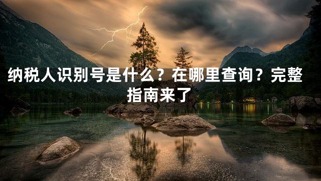 纳税人识别号是什么？在哪里查询？完整指南来了