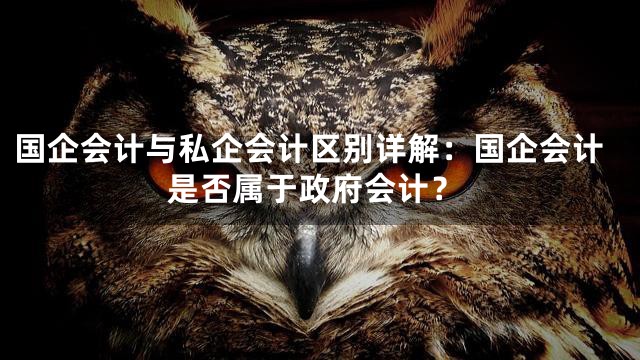 国企会计与私企会计区别详解：国企会计是否属于政府会计？