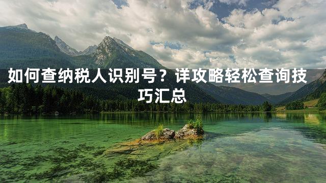 如何查纳税人识别号？详攻略轻松查询技巧汇总