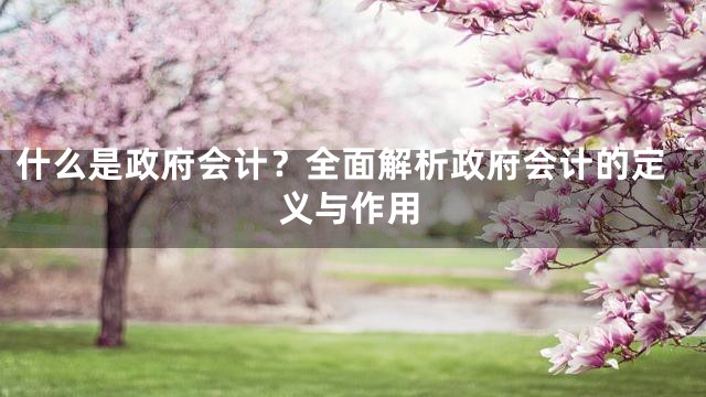 什么是政府会计？全面解析政府会计的定义与作用