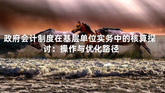 政府会计制度在基层单位实务中的核算探讨：操作与优化路径