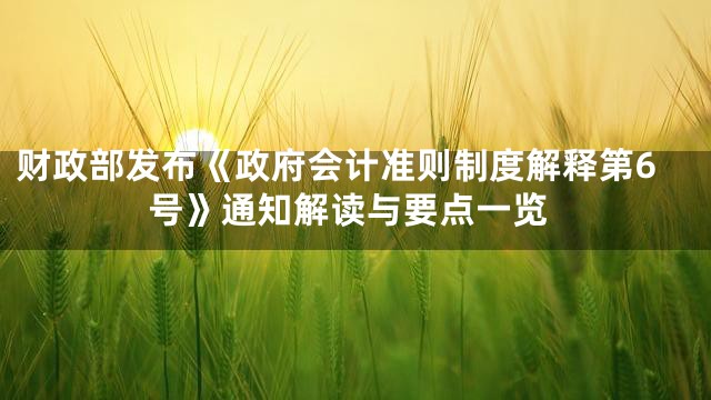 财政部发布《政府会计准则制度解释第6号》通知解读与要点一览