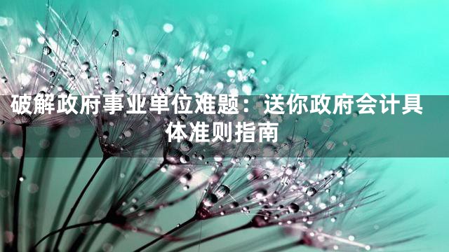 破解政府事业单位难题：送你政府会计具体准则指南