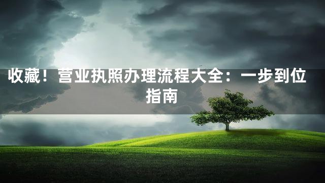收藏！营业执照办理流程大全：一步到位指南