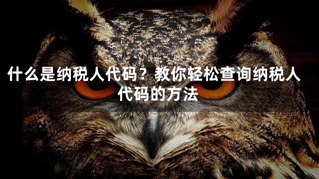 什么是纳税人代码？教你轻松查询纳税人代码的方法